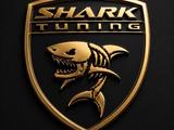 Shark tuning в Алматы
