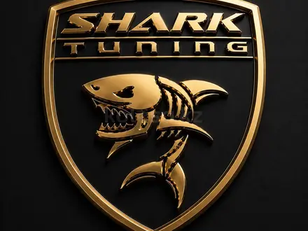 Shark tuning в Алматы