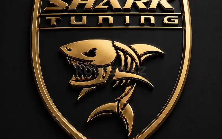 Shark tuning в Алматы