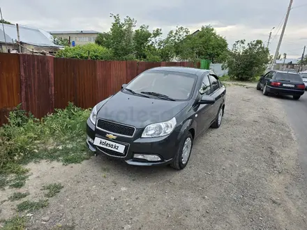 Chevrolet Nexia 2022 года за 4 700 000 тг. в Тараз – фото 4