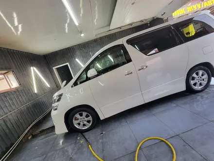 Toyota Vellfire 2012 годаүшін8 400 000 тг. в Тараз – фото 26