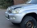 Toyota Land Cruiser Prado 2005 года за 11 500 000 тг. в Алматы – фото 35