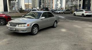 Toyota Camry 2000 года за 3 100 000 тг. в Алматы
