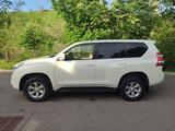 Toyota Land Cruiser Prado 2013 года за 11 700 000 тг. в Алматы – фото 3