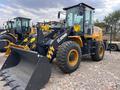 XCMG  LW 300 KN 2026 годаүшін15 900 000 тг. в Алматы