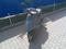 Honda  Dio 2009 года за 180 000 тг. в Алматы