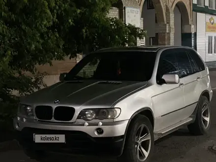 BMW X5 2002 года за 5 700 000 тг. в Жезказган – фото 6