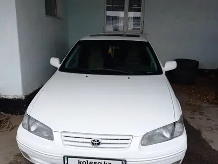 Toyota Camry 1999 года за 3 400 000 тг. в Алматы