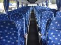 Автобусы новые на заказ в Шымкент – фото 8