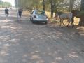Audi A4 1997 года за 1 000 000 тг. в Алматы – фото 4