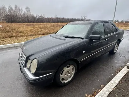 Mercedes-Benz E 300 1997 года за 2 900 000 тг. в Кокшетау – фото 5