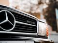 Mercedes-Benz S 560 1984 года за 60 000 000 тг. в Алматы – фото 36