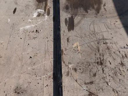 Тарсион за 10 000 тг. в Алматы
