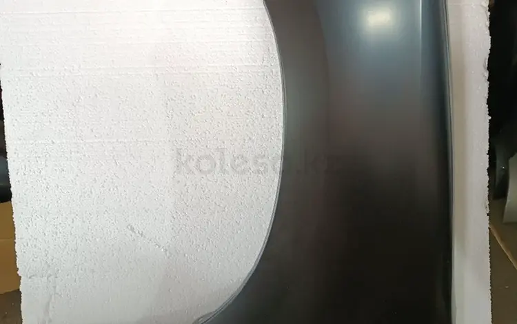 Крыльяүшін18 000 тг. в Алматы