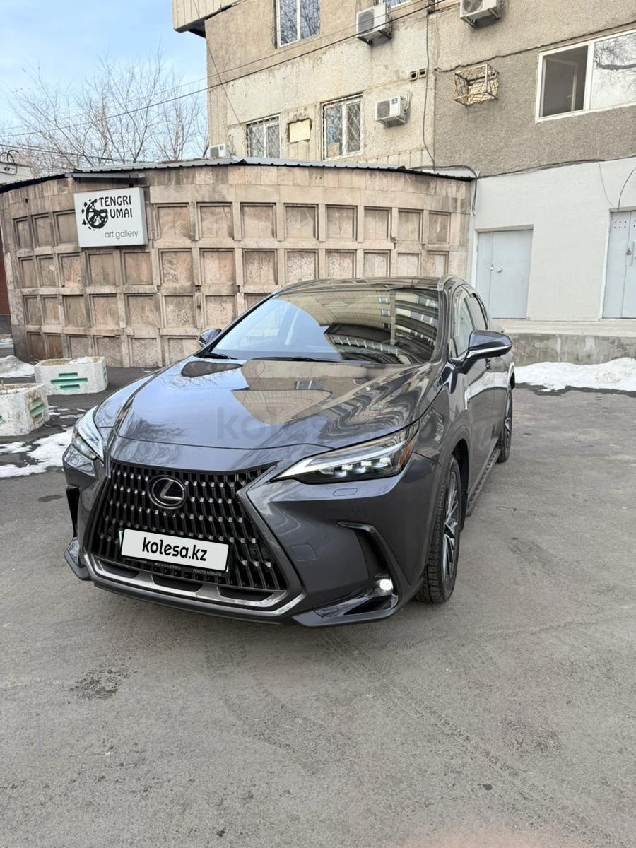 Lexus NX 250 2022 г.