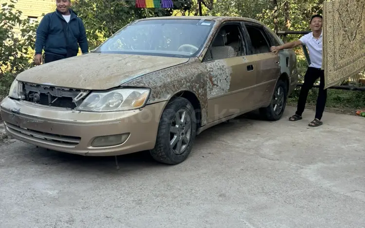 Toyota Avalon 2000 года за 1 500 000 тг. в Шымкент