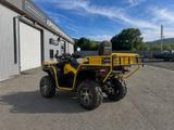 Stels  ATV 800 (FF) Guepard 2.0 K01 EPS GN 2026 года за 1 000 000 тг. в Алматы – фото 3