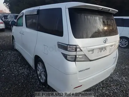 Toyota Vellfire 2008 года за 6 950 000 тг. в Шымкент – фото 7