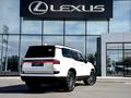 Lexus GX 550 Luxury+ 2025 года за 65 000 000 тг. в Шымкент – фото 18