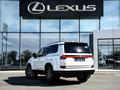 Lexus GX 550 Luxury+ 2025 года за 65 000 000 тг. в Шымкент – фото 2