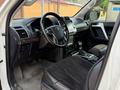 Toyota Land Cruiser Prado 2020 года за 26 500 000 тг. в Павлодар – фото 13