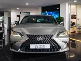 Lexus ES 250 Progressive 2025 года за 31 190 000 тг. в Петропавловск