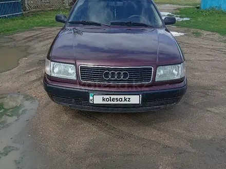 Audi 100 1993 года за 2 500 000 тг. в Кокшетау – фото 14