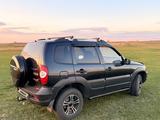 Chevrolet Niva 2011 года за 3 600 000 тг. в Кокшетау – фото 4