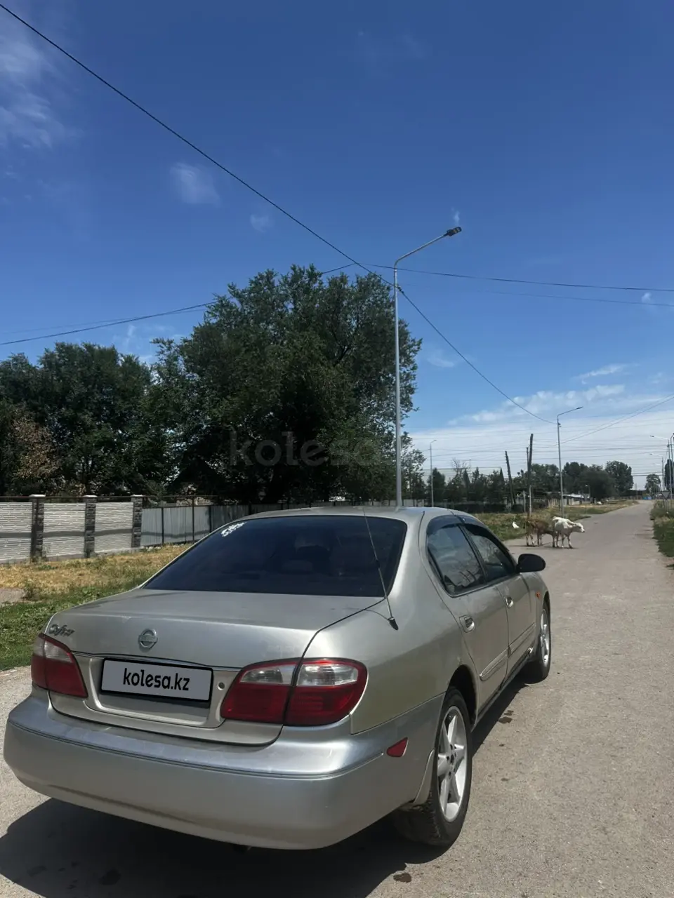 Nissan Cefiro, 2003