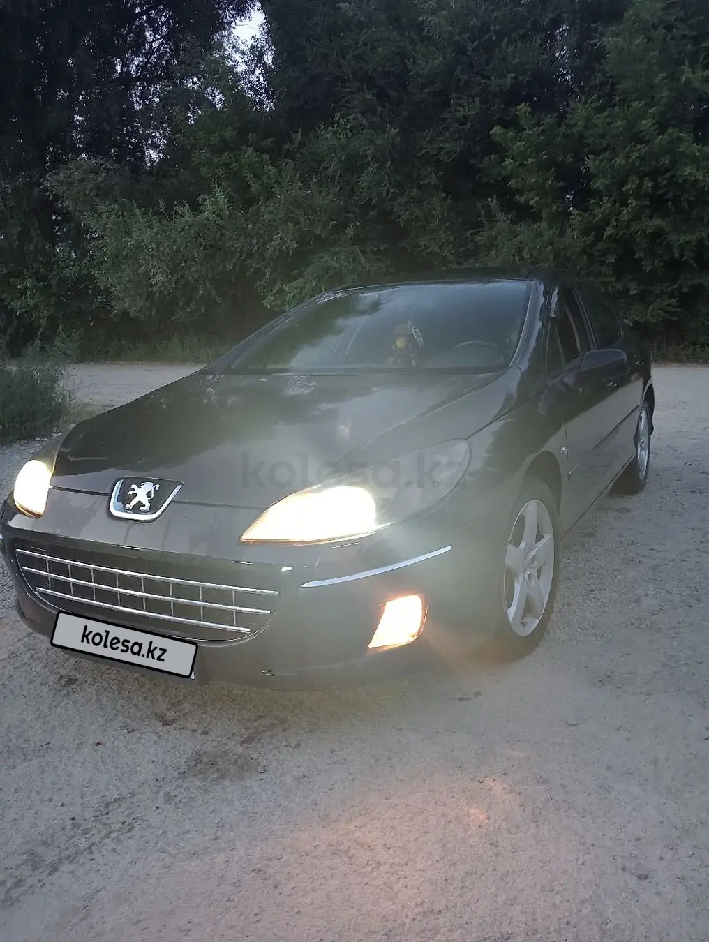 Peugeot 407, 2005