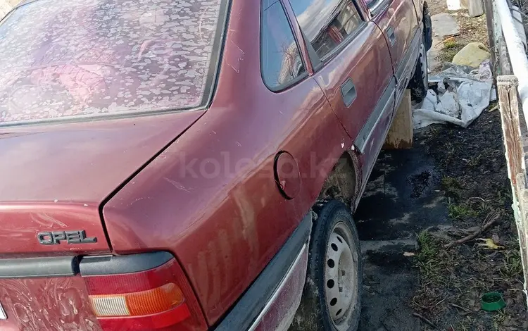 Opel Vectra 1993 года за 400 000 тг. в Житикара