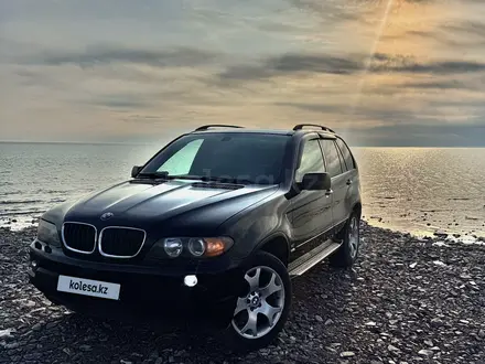 BMW X5 2005 года за 7 000 000 тг. в Балхаш – фото 8