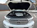Toyota Land Cruiser 2009 годаүшін16 000 000 тг. в Шымкент – фото 11