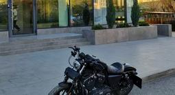 Harley-Davidson  Sportster 883 2020 годаfor6 500 000 тг. в Караганда – фото 3