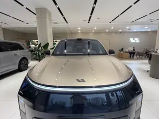 Li L9