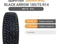 Black Arrow WS-20 185/75 R14 89 T с шипами за 35 000 тг. в Астана