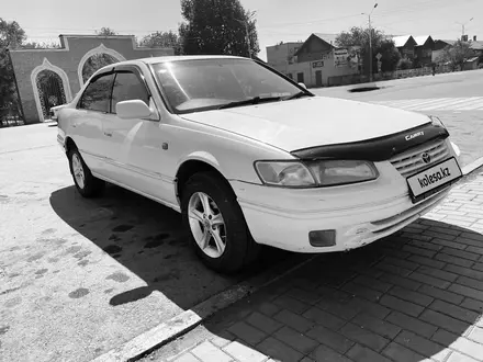 Toyota Camry 1998 года за 3 575 000 тг. в Семей