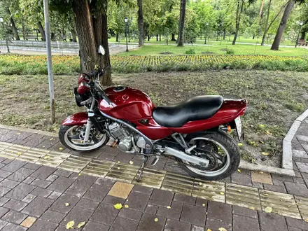 Kawasaki  ZR250 Balius 1996 года за 1 000 000 тг. в Алматы – фото 2