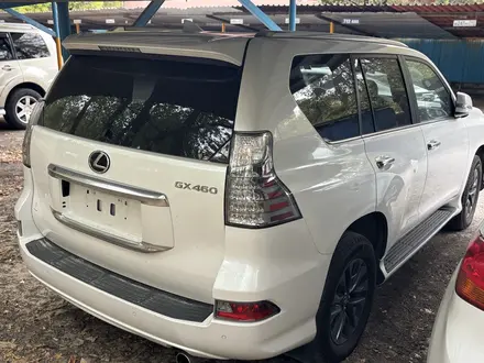 Lexus GX 460 2023 года за 46 000 000 тг. в Астана – фото 4