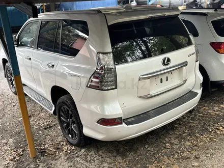 Lexus GX 460 2023 года за 46 000 000 тг. в Астана – фото 5