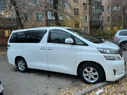 Toyota Vellfire 2010 года за 13 000 000 тг. в Павлодар – фото 3