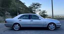 Mercedes-Benz E 55 AMG 1998 годаүшін5 150 000 тг. в Алматы – фото 3