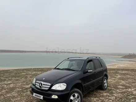 Mercedes-Benz ML 320 2002 года за 4 700 000 тг. в Кызылорда – фото 5