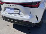 Lexus NX 250 2022 года за 21 500 000 тг. в Павлодар