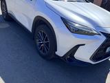 Lexus NX 250 2022 года за 21 500 000 тг. в Павлодар – фото 5