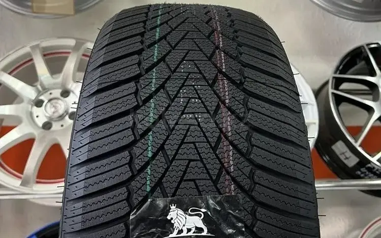 Arivo Winmaster ProX ARW3 225/40 R19 и 255/35 R19 за 350 000 тг. в Астана