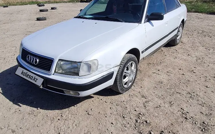 Audi 100 1992 годаүшін1 750 000 тг. в Петропавловск