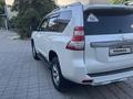 Toyota Land Cruiser Prado 2014 года за 18 200 000 тг. в Алматы – фото 5