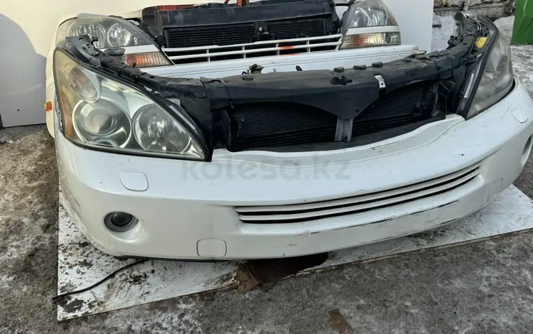 Ноускат за 500 000 тг. в Алматы