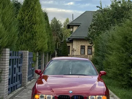 BMW 525 1999 года за 5 200 000 тг. в Шымкент